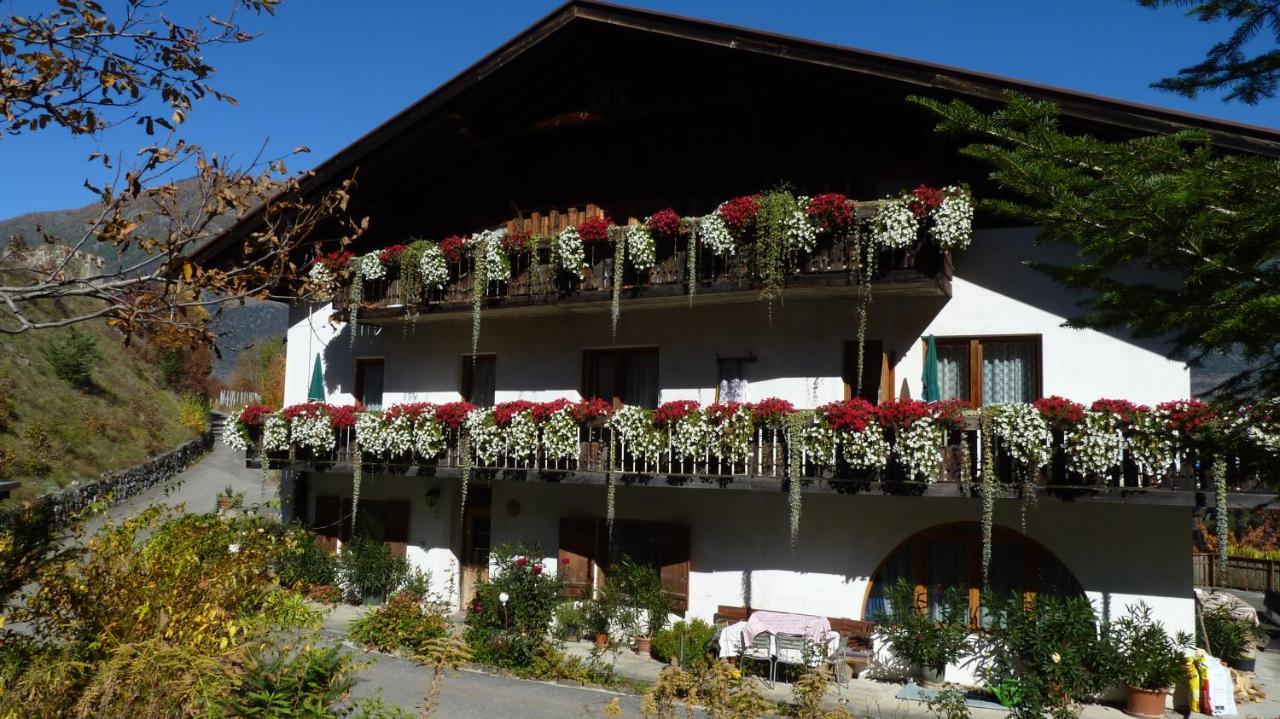 Schlosshof Zu Montani Morter Экстерьер фото